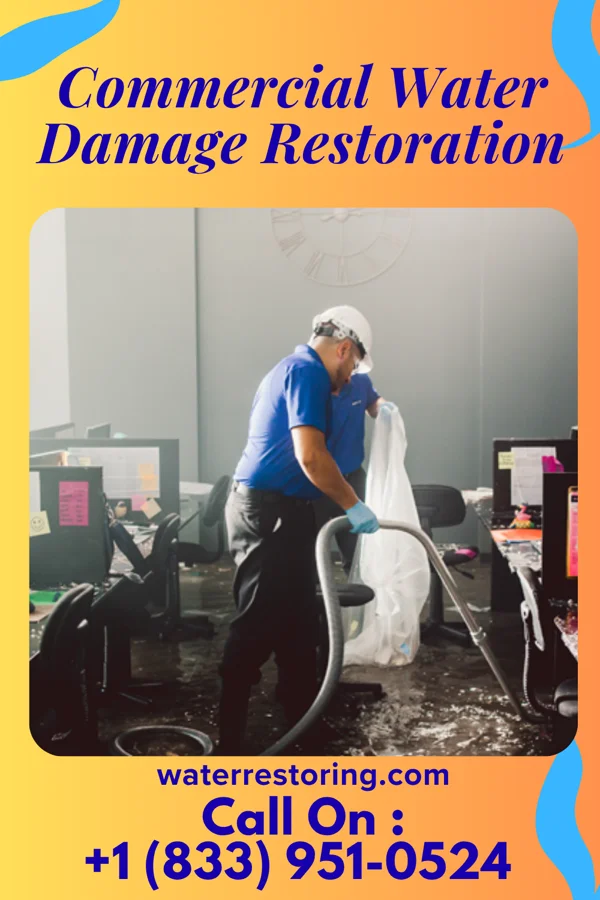 Commercial Water Damage Restoration in Moore, MT