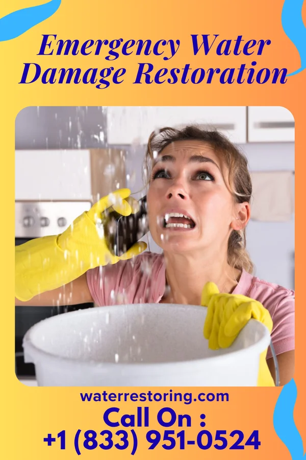 Emergency Water Damage Restoration in Moore, MT